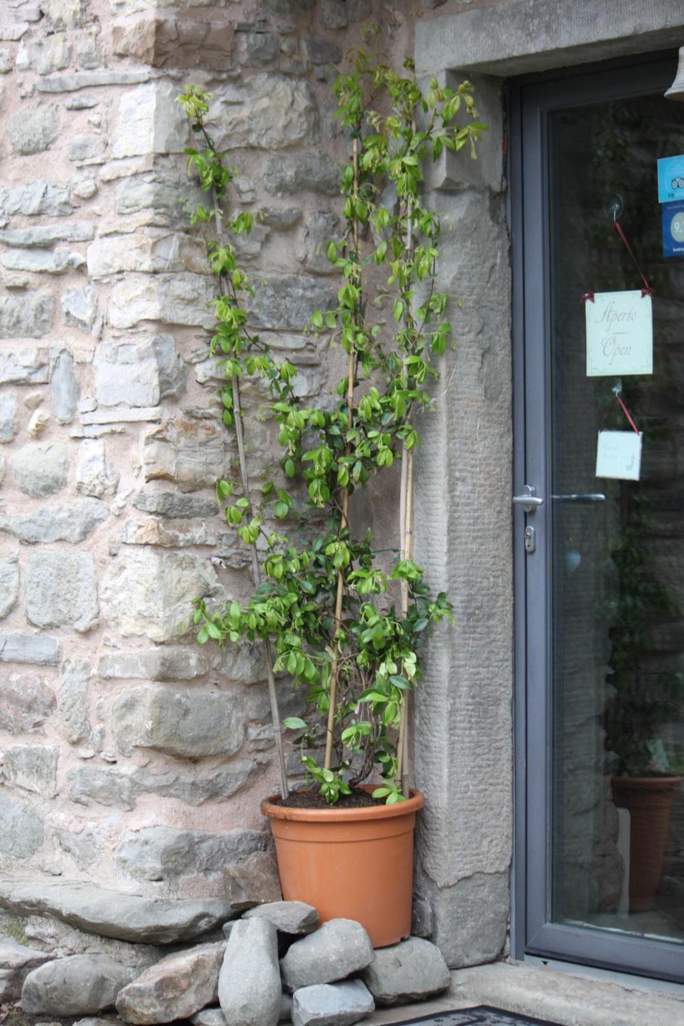 Eremo Gioioso Pontremoli Exterior foto
